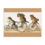Bicycle Ride Postcards