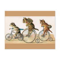 Bicycle Ride Postcards