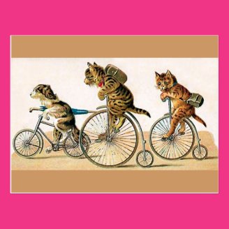 Bicycle Ride Postcards