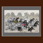 Bicycle Riding Cats postcards