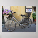 Bicycle with Basket of Hydrangeas Poster