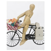 BicyclePicnicBasket120509 copy Custom Flyer