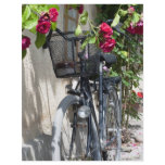 Bicycles and roses in Sweden flyers