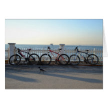Bicycles with a Crow Card