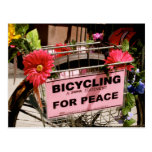 Bicycling for Peace Postcard