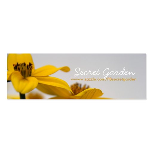 Bidens Business Card Template (front side)
