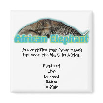 Big 5 africa wildlife safari magnets