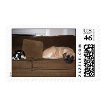 Big and little stamps