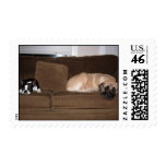 Big and little stamps