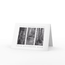 Big Basin Redwoods State Park cards