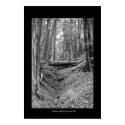 Big Basin Redwoods State Park posters