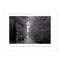 Big Basin Redwoods State Park posters
