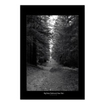 Big Basin Redwoods State Park posters