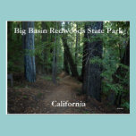 Big Basin Redwoods State... postcards