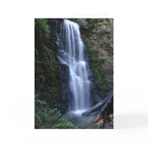 big basin waterfall greeting card by pollyparrett big basin waterfall greeting card
