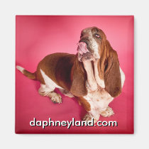 Big Basset Kiss Magnet magnets