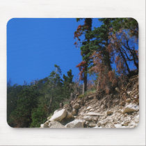 Big Bear Lake CA mousepads