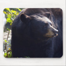 Big Bear mousepads