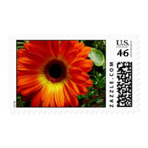 Big Beautiful and Bright postage
