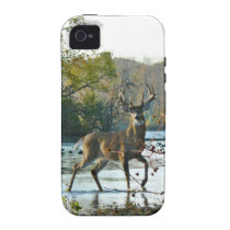 big beautiful buck casemate cases