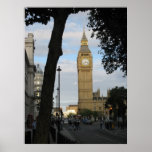 Big Ben Through a Tree Print