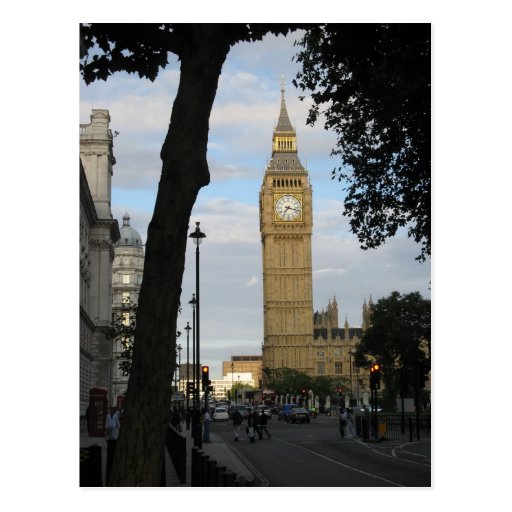 Big Ben Through the Tree Postcard