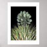 Big Bend at Night Poster