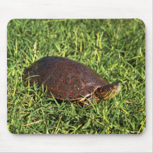 Big Bend Slider Mousepad