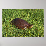 Big Bend Slider Poster