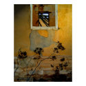 Big Bend WIndow Canvas posters by KimiPhillips Big Bend WIndow Canvas posters