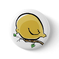 big bird pins
