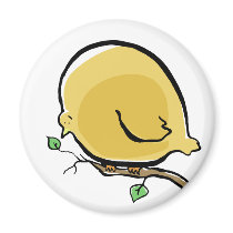 big bird refrigerator magnets