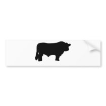 big black angus bull bumper sticker