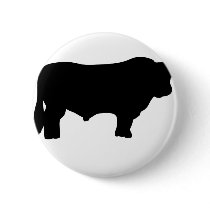 big black angus bull pins