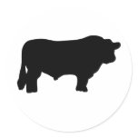 big black angus bull stickers