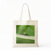 Big Black Ant Bags