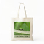 Big Black Ant bags