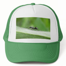 Big Black Ant Hats