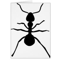 big black ant icon cards