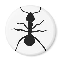 big black ant icon magnets