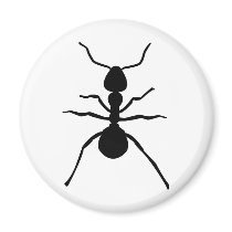 big black ant icon refrigerator magnet