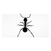 big black ant icon photo cards