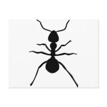 big black ant icon postcards