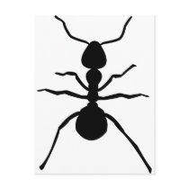 big black ant icon postcards