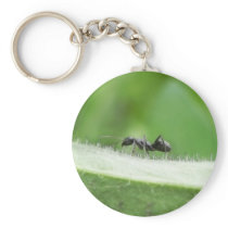 Big Black Ant Key Chain