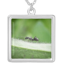Big Black Ant Necklace