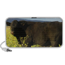 Big Black Bull Pretty Wildflowers - Toro - Taurus Mini Speakers