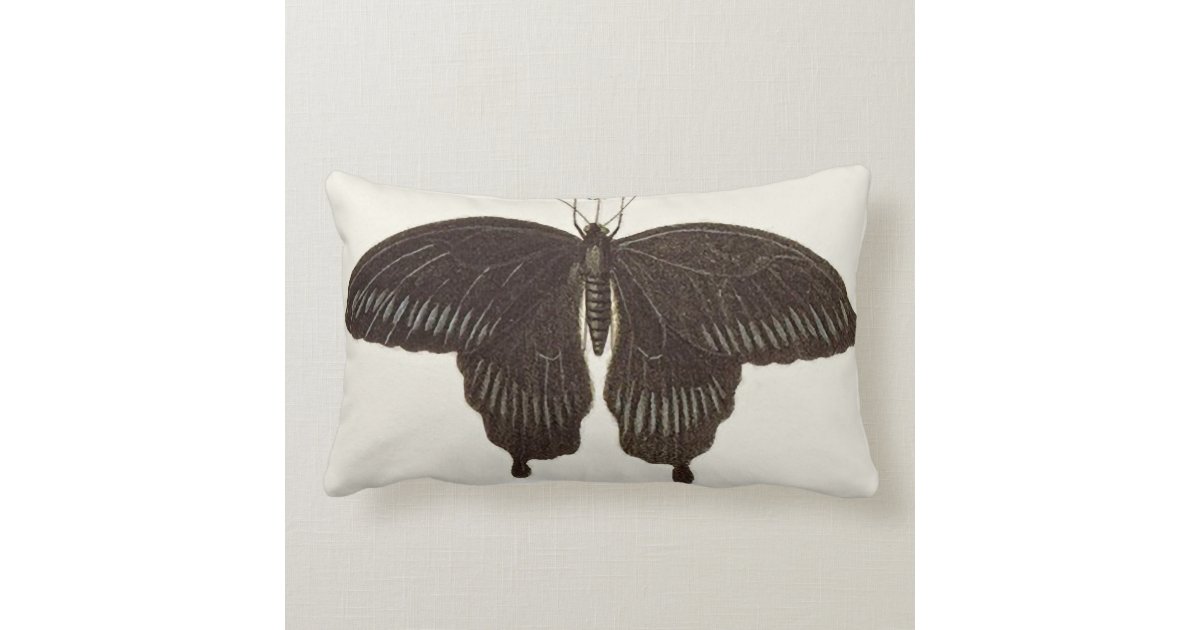 Big Black Butterfly Throw Pillow Zazzle