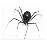 Big Black Creepy 3D Spider Postcards