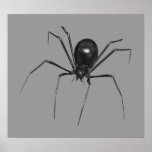 Big Black Creepy 3D Spider Posters